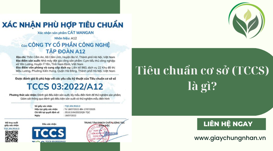 Tiêu chuẩn cơ sở (TCCS) là gì?