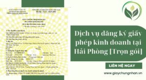 Dịch vụ đăng ký giấy phép kinh doanh tại Hải Phòng [Trọn gói]