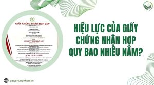 Hiệu lực của giấy chứng nhận hợp quy