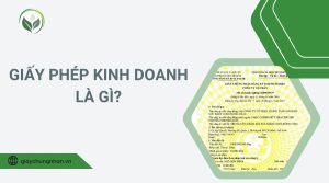 Giấy phép kinh doanh là gì?