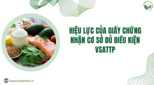 Hiệu lực của Giấy chứng nhận cơ sở đủ điều kiện VSATTP