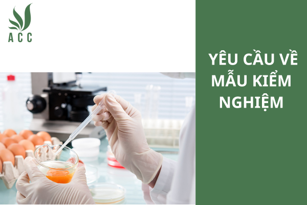 Yêu cầu về mẫu kiểm nghiệm