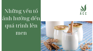 Những yếu tố ảnh hưởng đến quá trình lên men