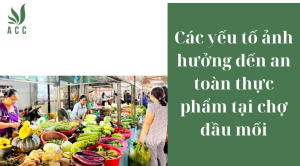 Các yếu tố ảnh hưởng đến an toàn thực phẩm tại chợ đầu mối