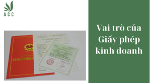 Vai trò của Giấy phép kinh doanh