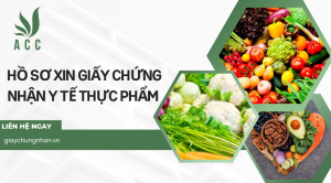 Hồ sơ xin Giấy chứng nhận y tế thực phẩm 