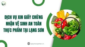 Dịch vụ xin giấy chứng nhận vệ sinh an toàn thực phẩm tại Lạng Sơn