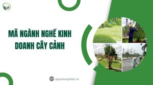 Mã ngành nghề kinh doanh cây cảnh