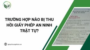 Trường hợp nào bị thu hồi giấy phép an ninh trật tự?