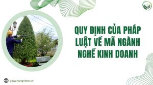 Quy định của pháp luật về mã ngành nghề kinh doanh
