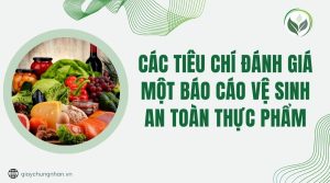 Các tiêu chí đánh giá một báo cáo vệ sinh an toàn thực phẩm