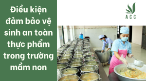 Điều kiện đảm bảo vệ sinh an toàn thực phẩm trong trường mầm non