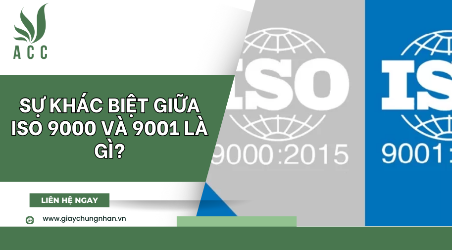 Sự khác biệt giữa iso 9000 và 9001 là gì? Giải đáp