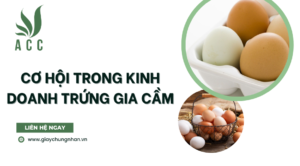 Cơ hội trong kinh doanh trứng gia cầm
