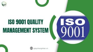 ISO 9001 quality management system