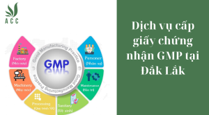 Dịch vụ cấp giấy chứng nhận GMP tại Đắk Lắk 