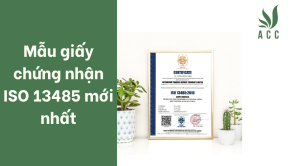 Mẫu giấy chứng nhận ISO 13485 mới nhất