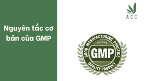 Nguyên tắc cơ bản của GMP