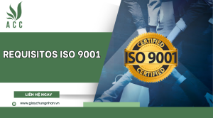 Requisitos ISO 9001