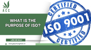 What is the purpose of ISO?