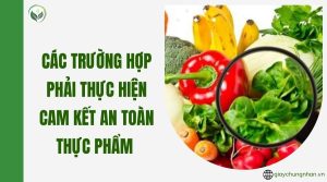 Các trường hợp phải thực hiện cam kết an toàn thực phẩm 