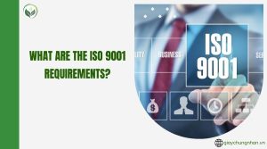 What are the ISO 9001 requirements?