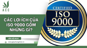 Các lợi ích của ISO 9000 gồm những gì?