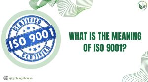 What is the meaning of ISO 9001?