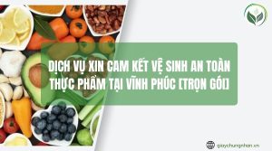 Dịch vụ xin cam kết vệ sinh an toàn thực phẩm tại Vĩnh Phúc [Trọn gói]
