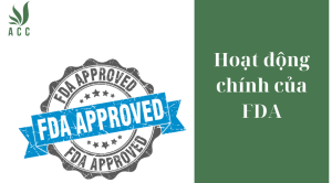 Hoạt động chính của FDA