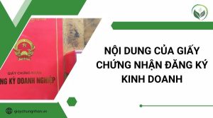Nội dung của giấy chứng nhận đăng ký kinh doanh