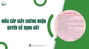 Mẫu cấp giấy chứng nhận quyền sử dụng đất 