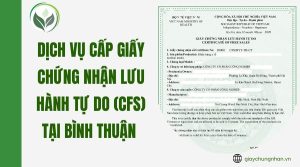 Dịch vụ cấp giấy chứng nhận lưu hành tự do (CFS) tại Bình Thuận