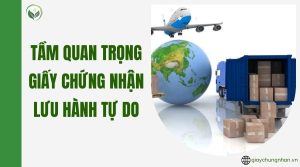 Tầm quan trọng giấy chứng nhận lưu hành tự do