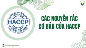 Các nguyên tắc cơ bản của HACCP
