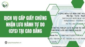 Dịch vụ cấp giấy chứng nhận lưu hành tự do (CFS) tại Cao Bằng