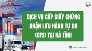 Dịch vụ cấp giấy chứng nhận lưu hành tự do (CFS) tại Hà Tĩnh
