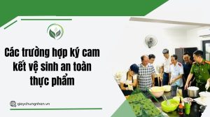 Các trường hợp ký cam kết vệ sinh an toàn thực phẩm