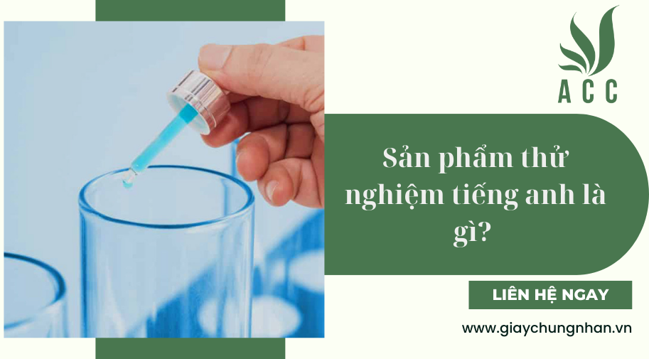 Sản phẩm thử nghiệm tiếng anh là gì? 