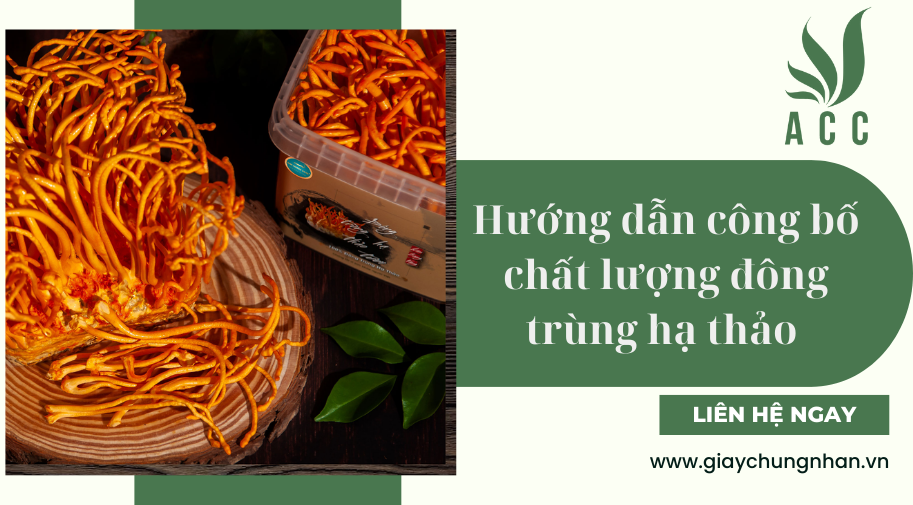 Hướng dẫn công bố chất lượng đông trùng hạ thảo 
