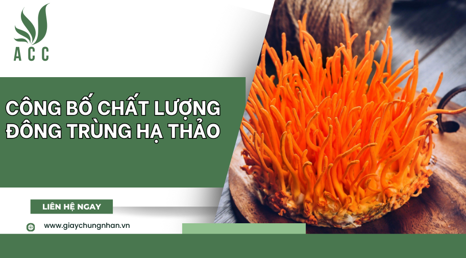 Công bố chất lượng đông trùng hạ thảo