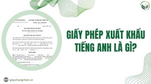 Giấy phép xuất khẩu tiếng anh là gì?