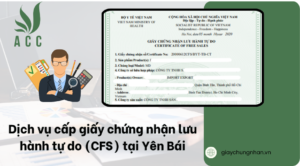 Dịch vụ cấp giấy chứng nhận lưu hành tự do (CFS) tại Yên Bái
