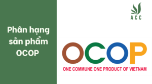Phân hạng sản phẩm OCOP 
