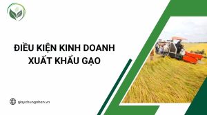 Điều kiện kinh doanh xuất khẩu gạo