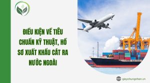 Điều kiện về tiêu chuẩn kỹ thuật, hồ sơ xuất khẩu cát ra nước ngoài