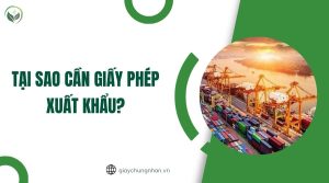 Hướng dẫn làm giấy phép xuất khẩu cát ra nước ngoài