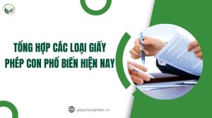 Tổng hợp các loại giấy phép con phổ biến hiện nay