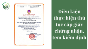 Điều kiện thực hiện thủ tục cấp giấy chứng nhận, tem kiểm định