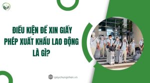 Điều kiện để xin Giấy phép xuất khẩu lao động là gì?